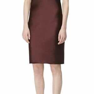 Women’s size 4 NWT Alexander Wang brown fringe back shift dress